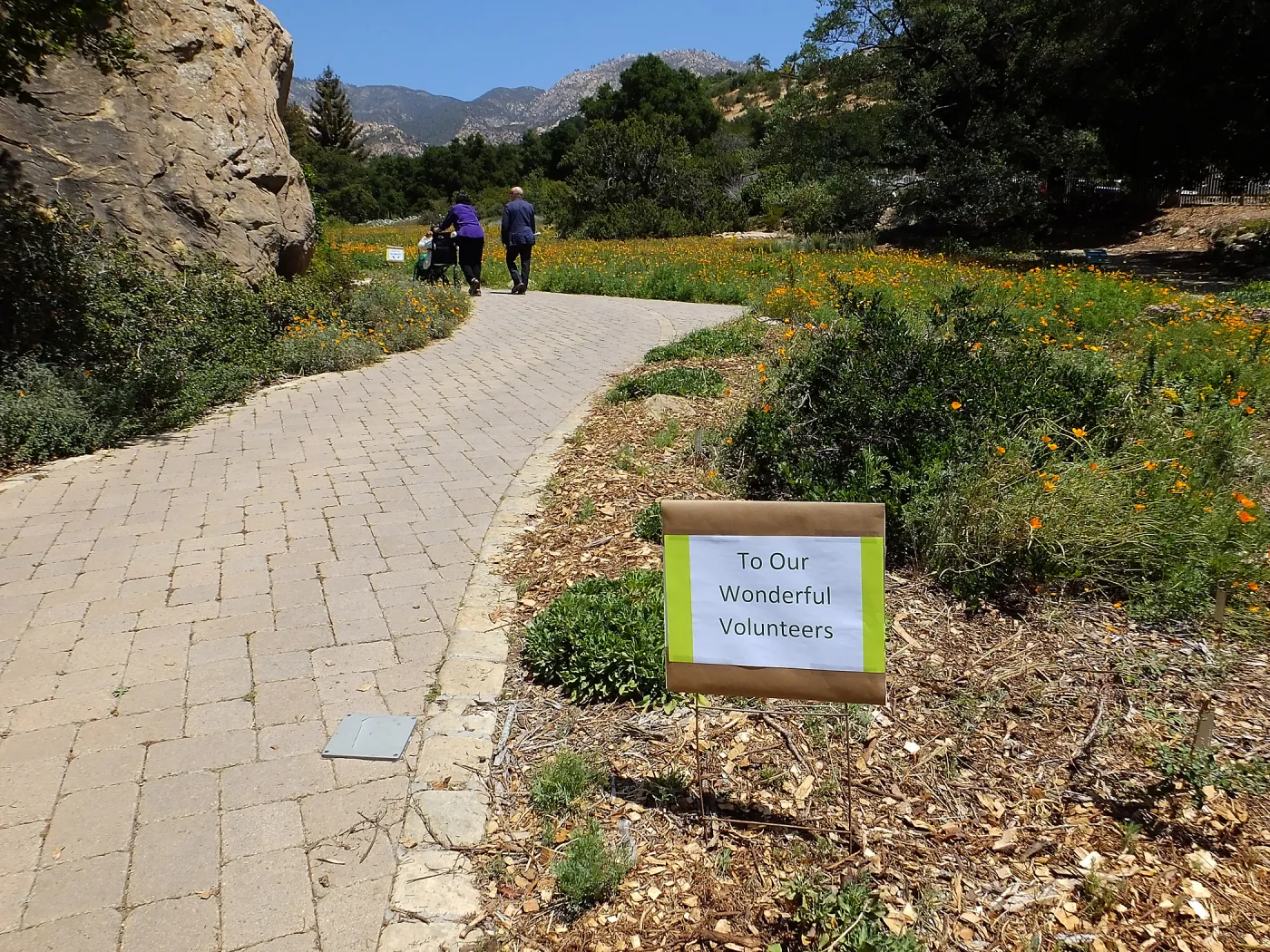 Volunteer Luncheon 2015 Welcome Signs