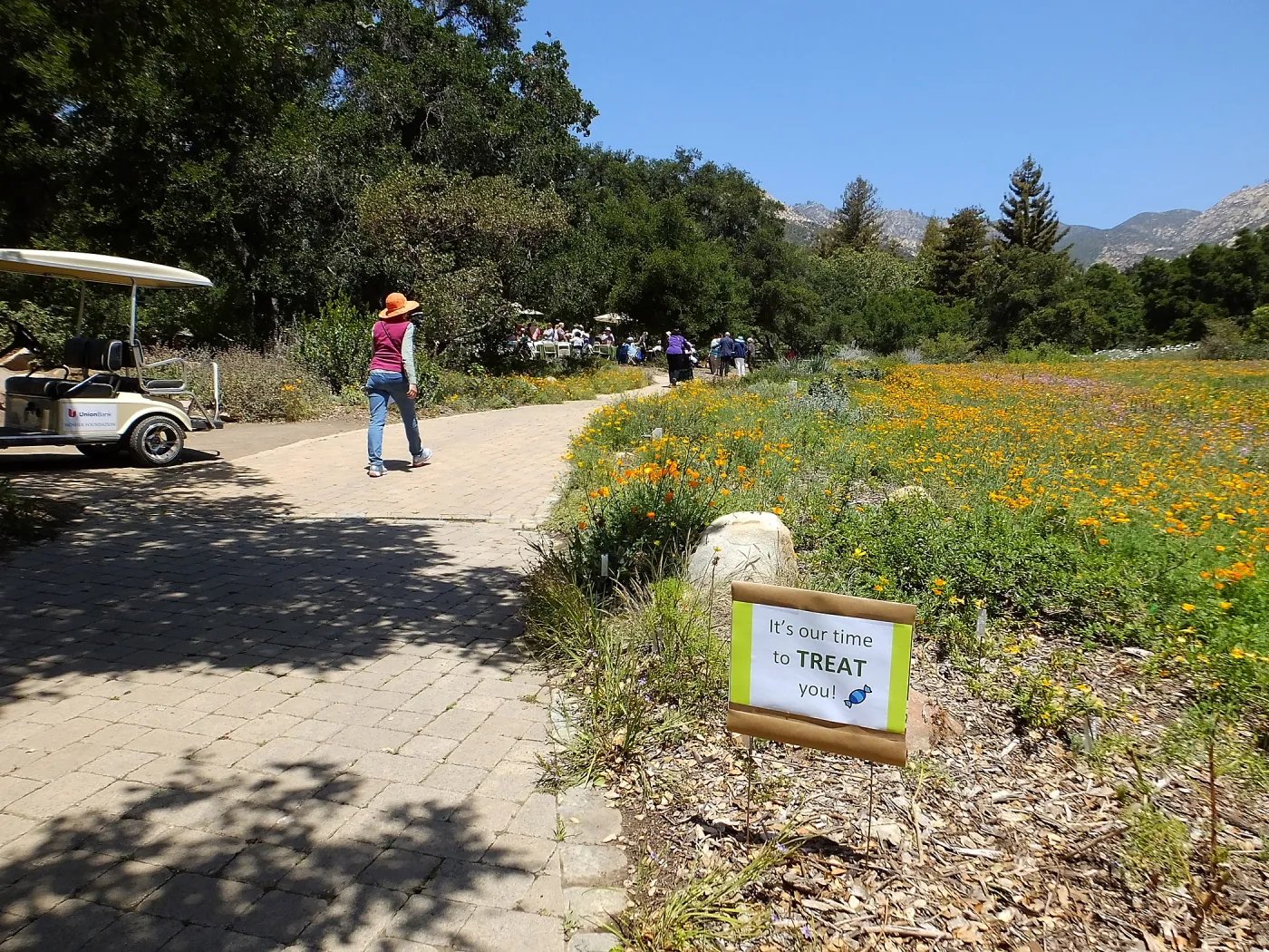 Volunteer Luncheon 2015 Welcome Signs