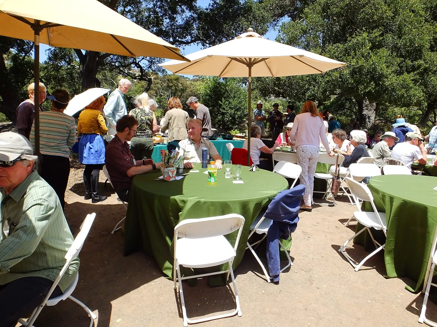 Volunteer Luncheon 2015
