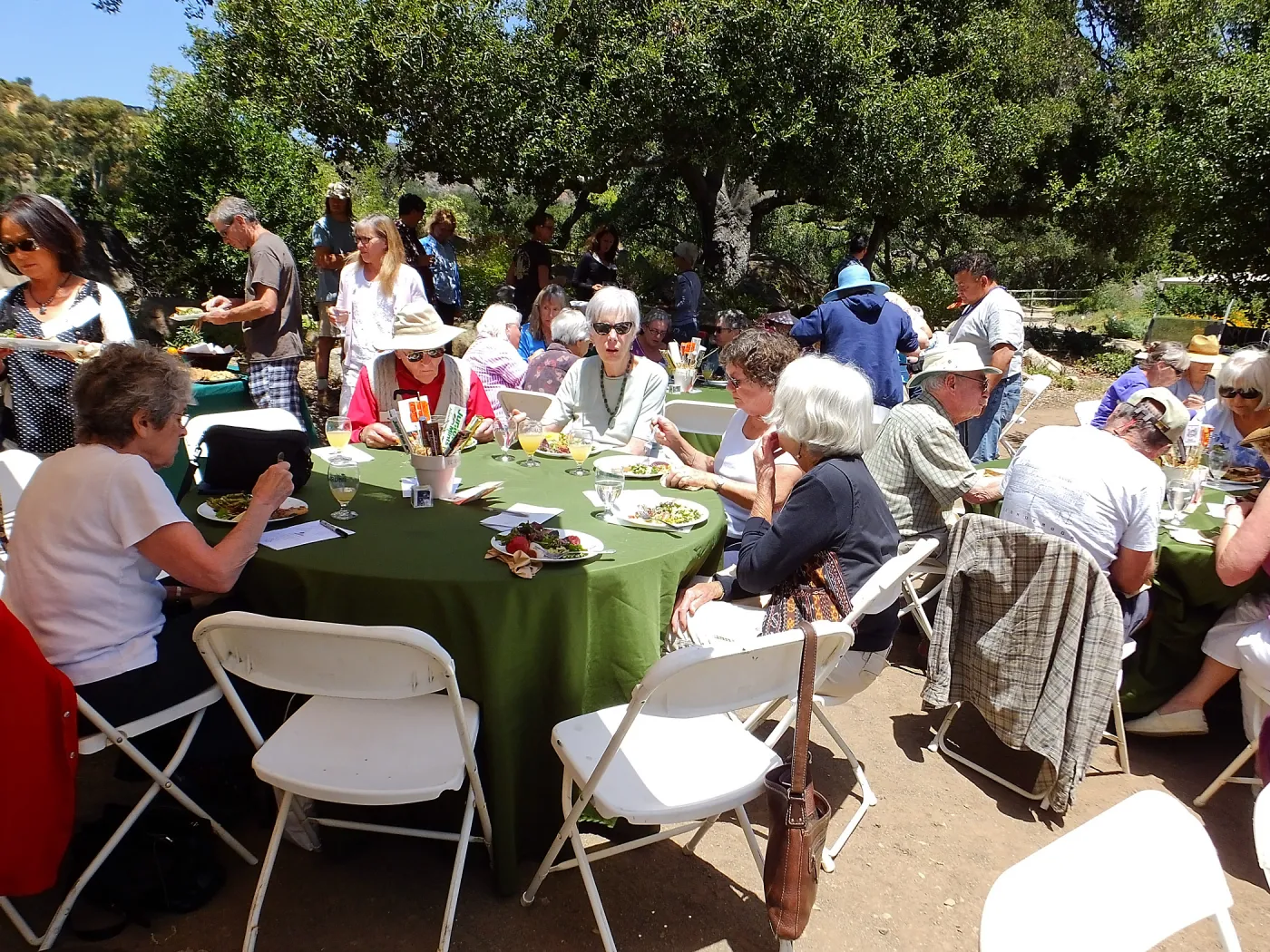 Volunteer Luncheon 2015