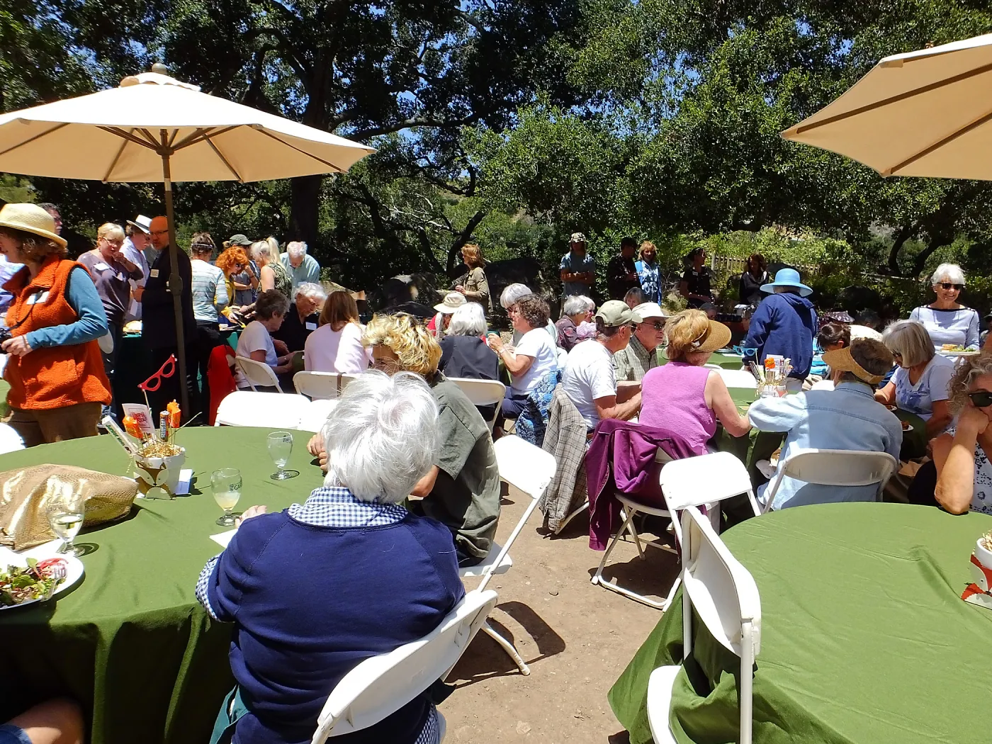 Volunteer Luncheon 2015