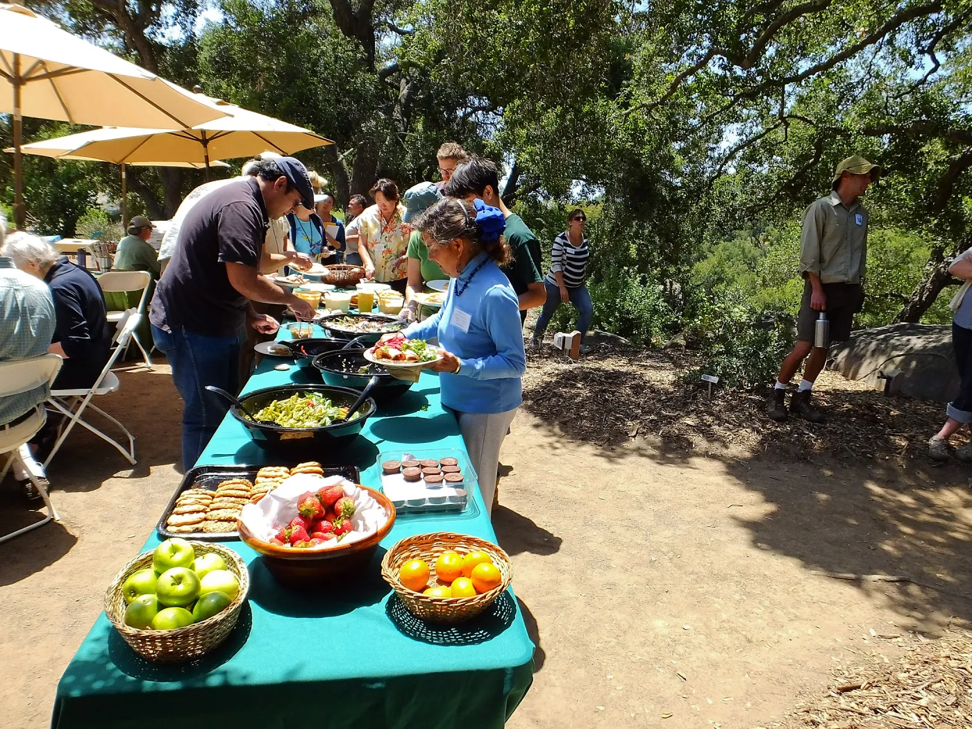 Volunteer Luncheon 2015