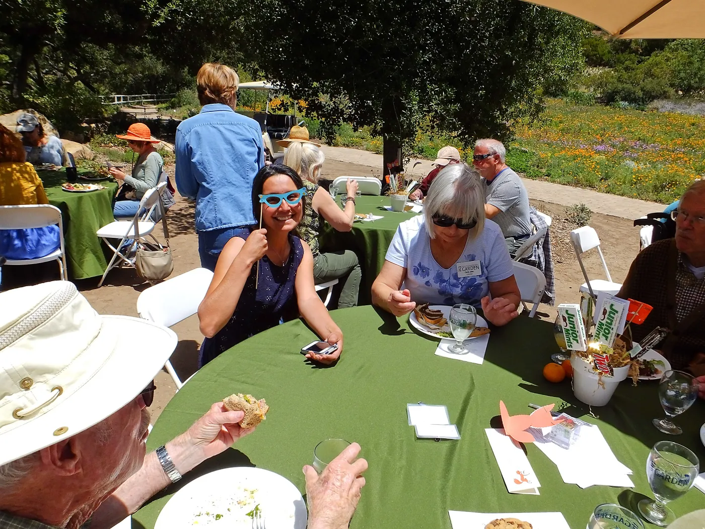 Volunteer Luncheon 2015