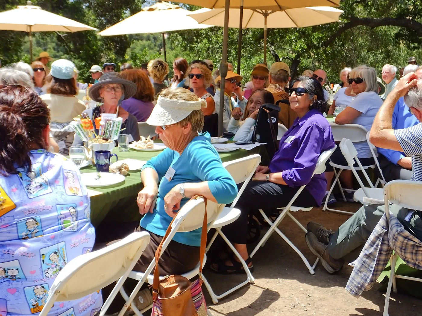 Volunteer Luncheon 2015