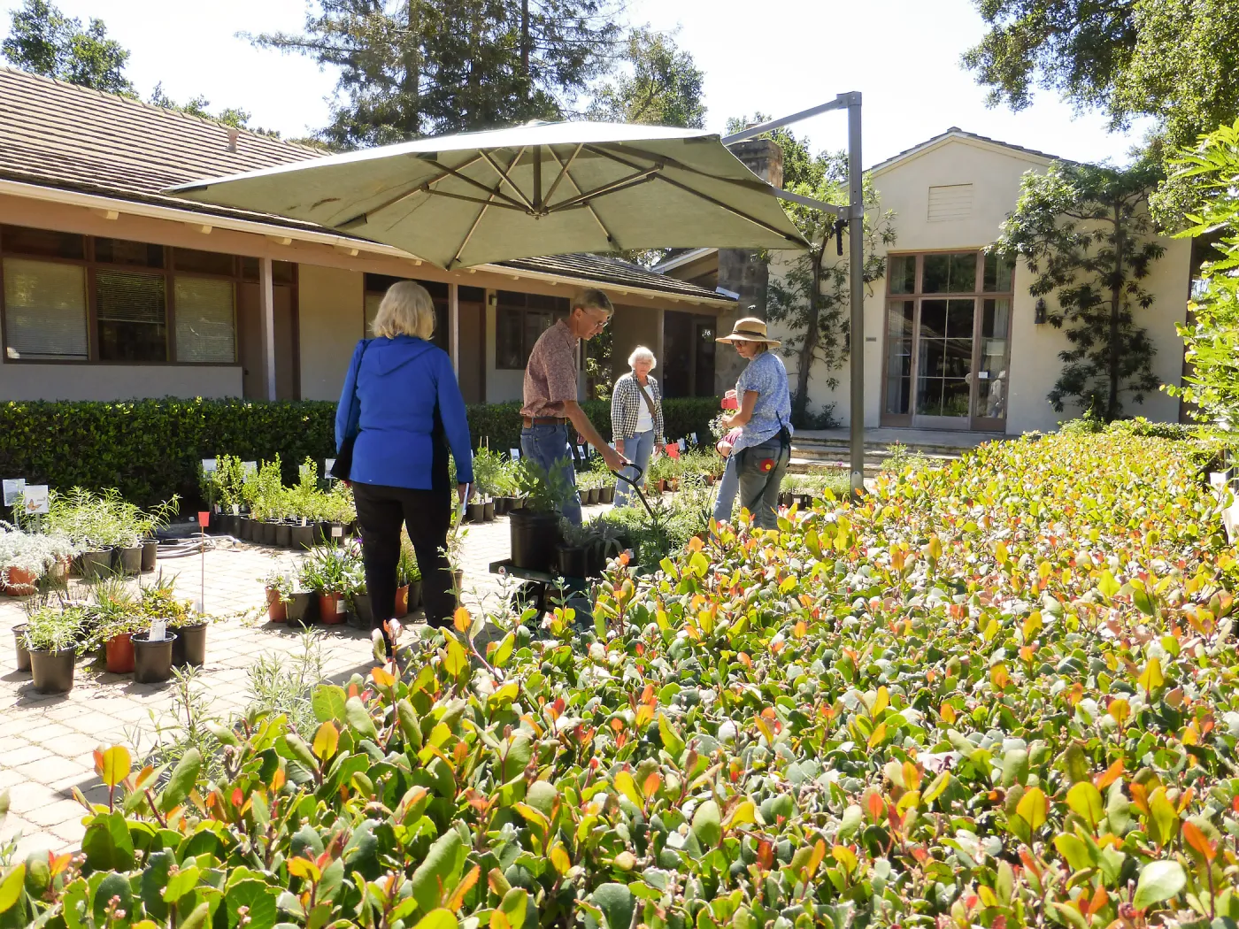 Spring Plant Sale 2015
