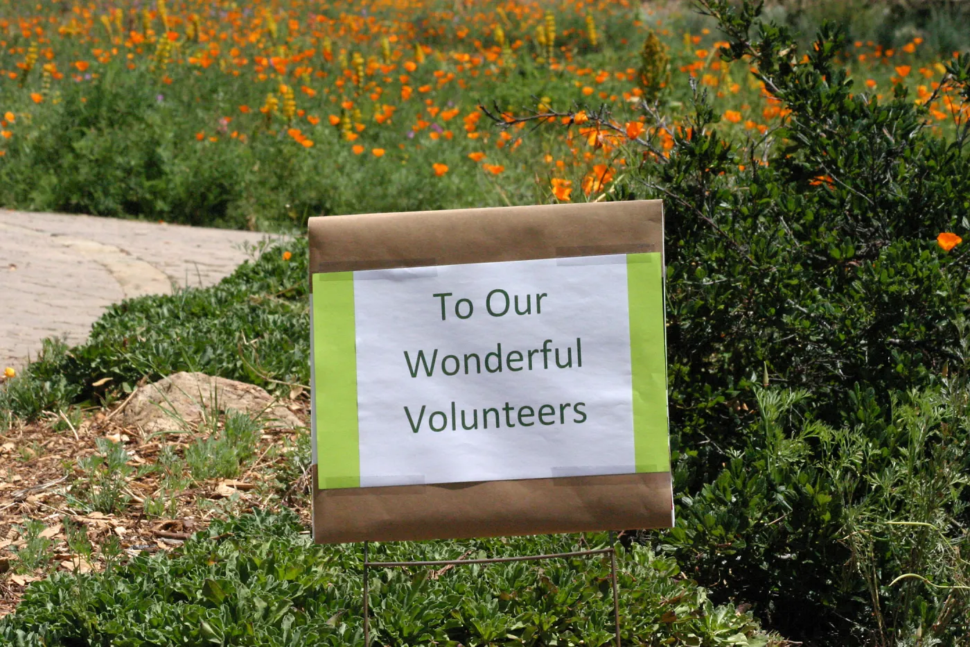 Volunteer Luncheon 2015