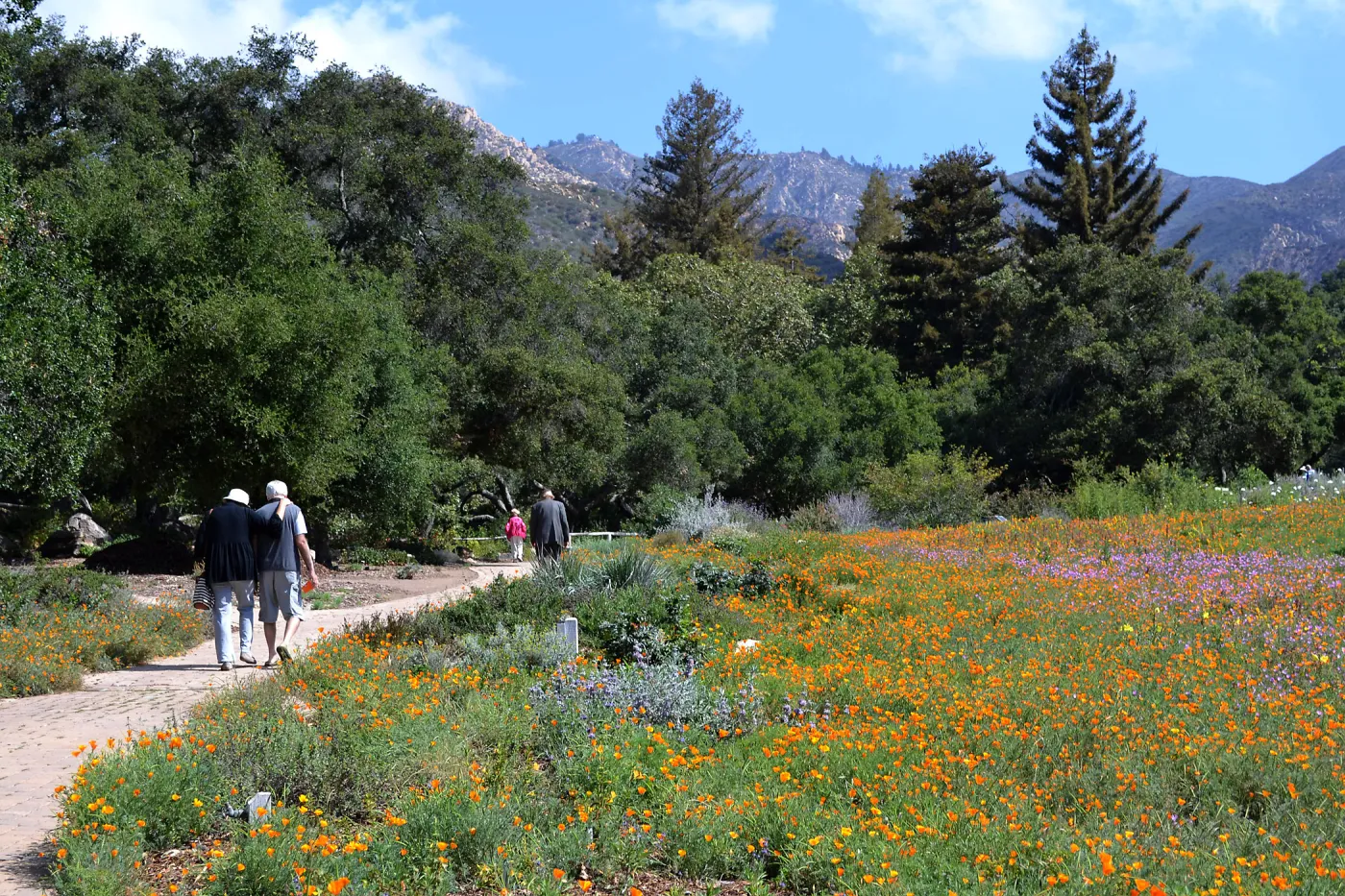 Seniors Free Day visitors at lower Meadow near Blaksley Boulder