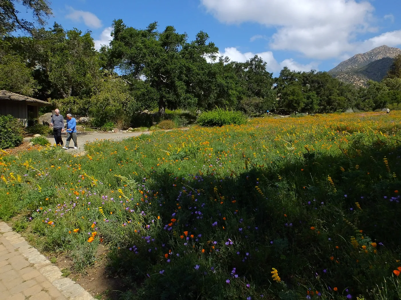 Seniors Free Day visitors at lower Meadow