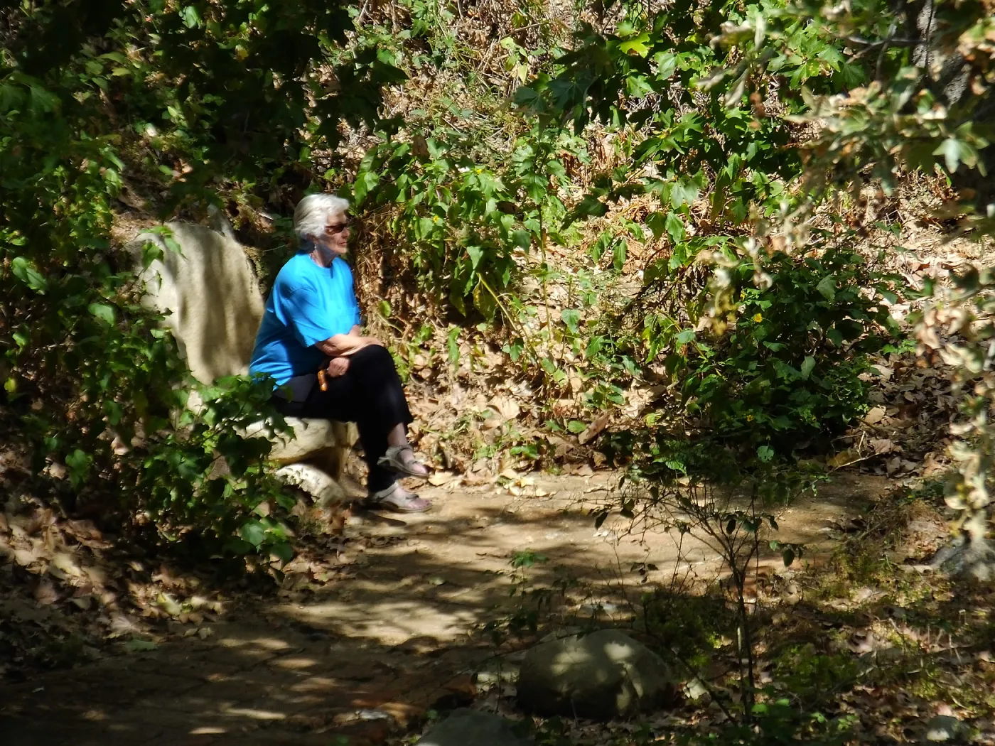 Seniors Free Day, visitor at Taylor Bench