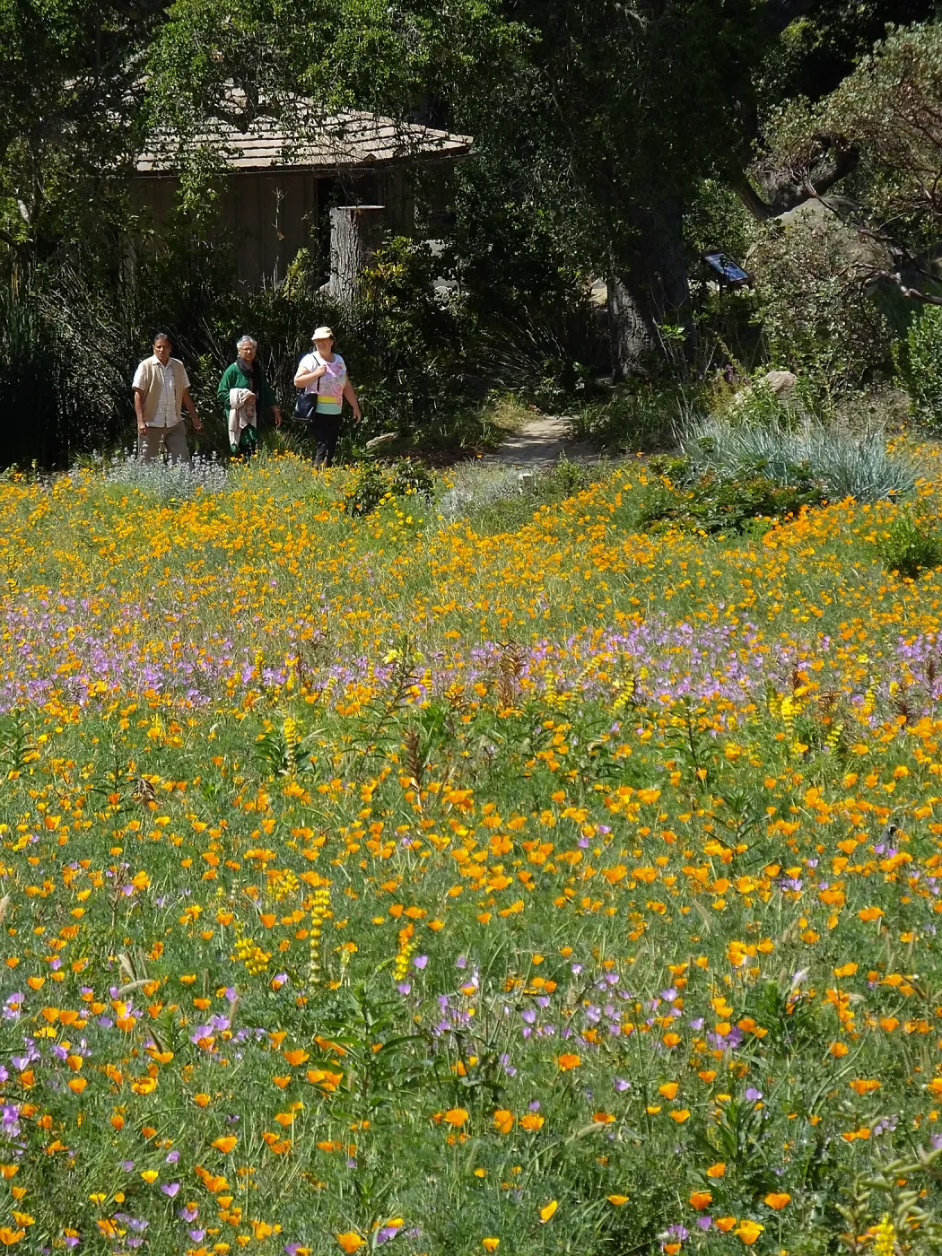 Seniors Free Day visitors at Meadow