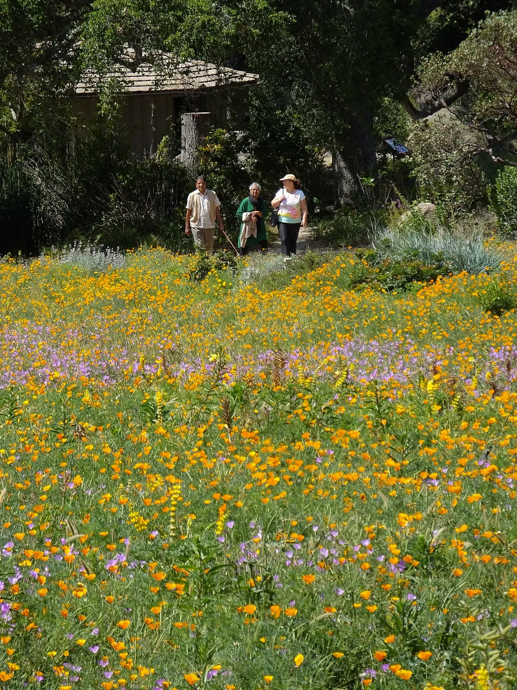 Seniors Free Day visitors at Meadow