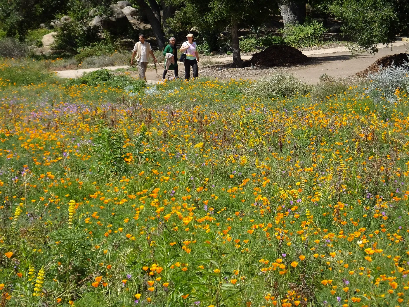 Seniors Free Day visitors at Meadow