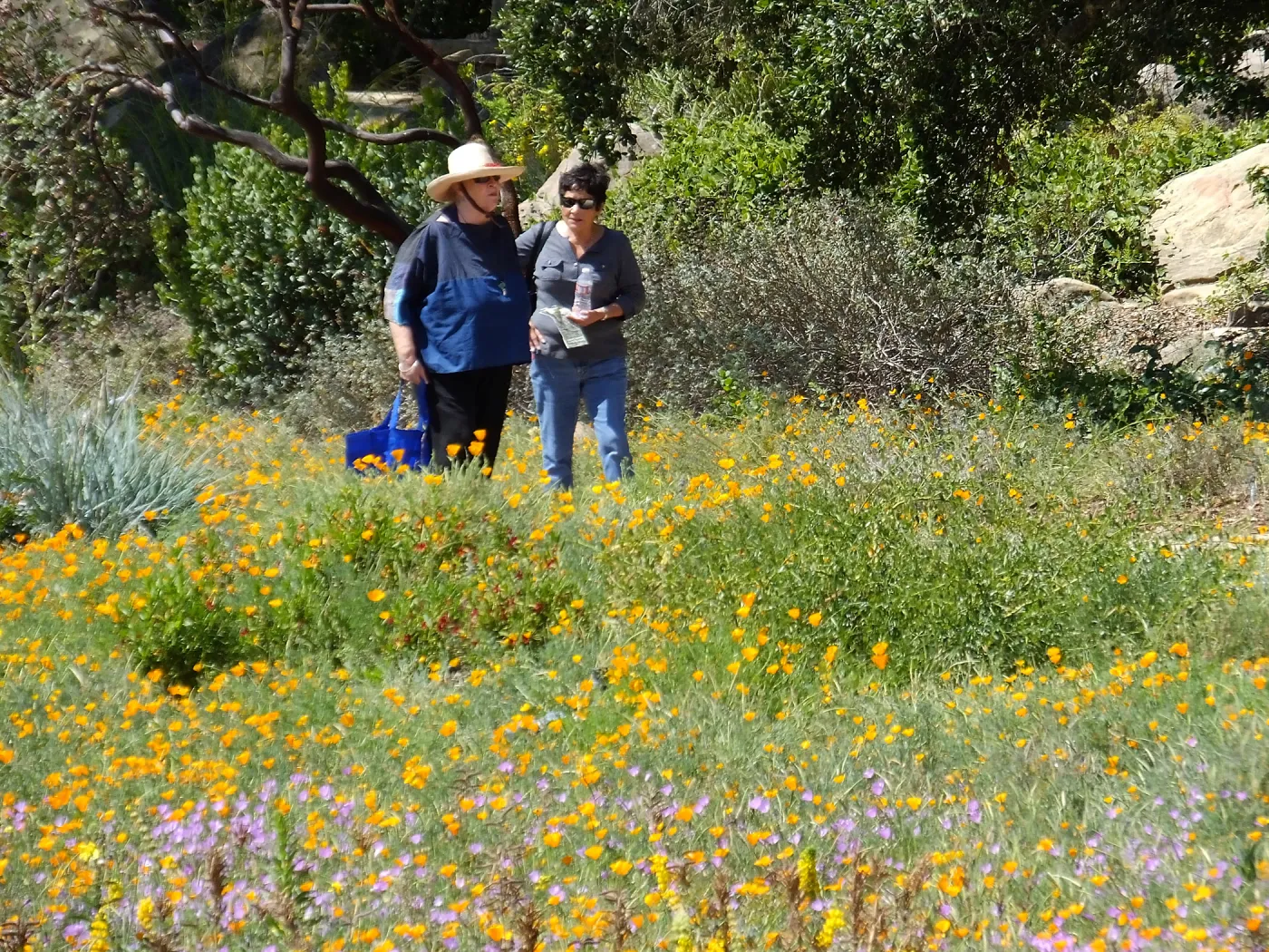 Seniors Free Day visitors at Meadow