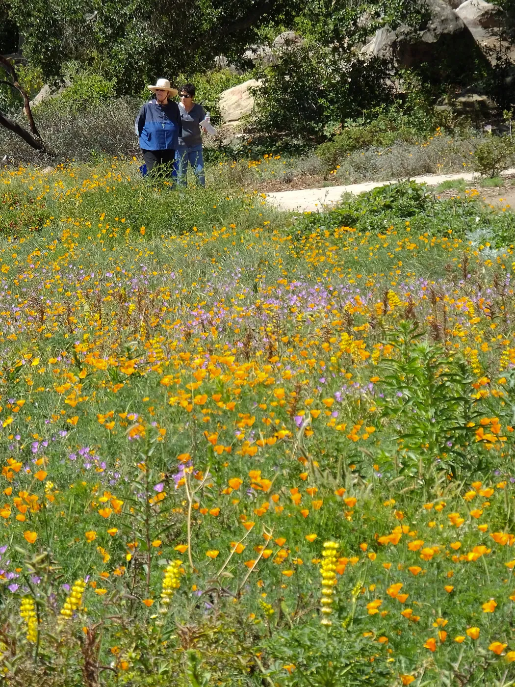 Seniors Free Day visitors at Meadow
