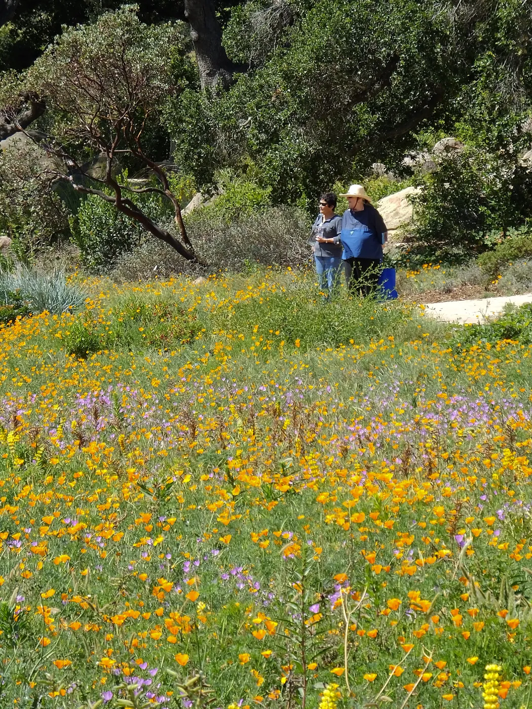 Seniors Free Day visitors at Meadow