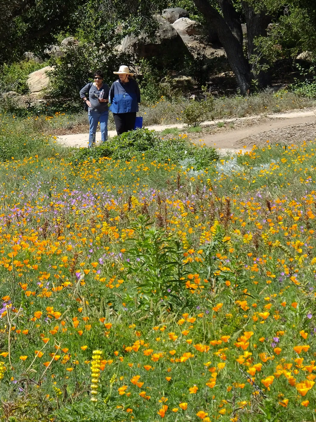 Seniors Free Day visitors at Meadow