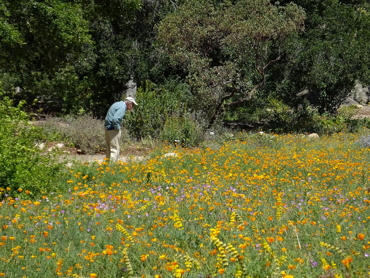 Seniors Free Day visitors at Meadow