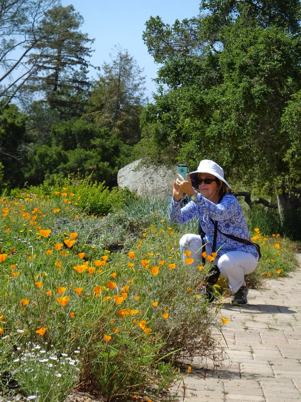 Visitor photographing Meadow