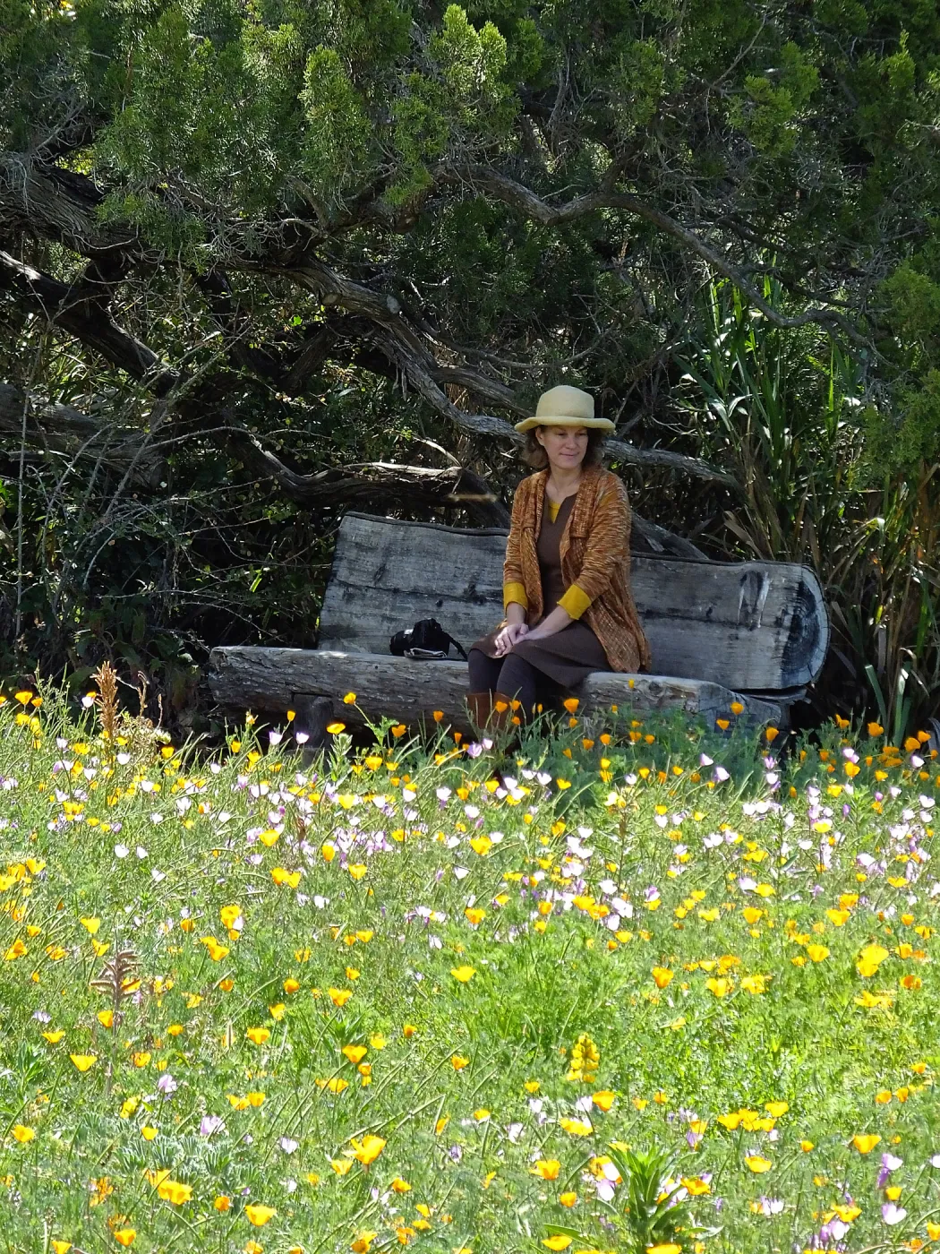 Visitor admiring Meadow from Thomas Holton Bench
