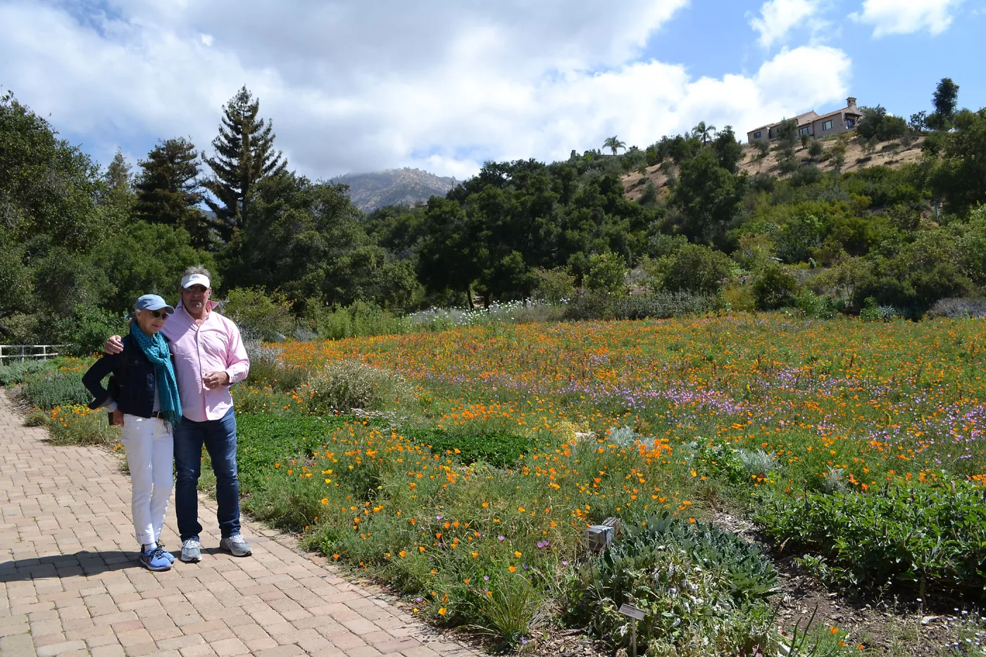 Seniors Free Day visitors