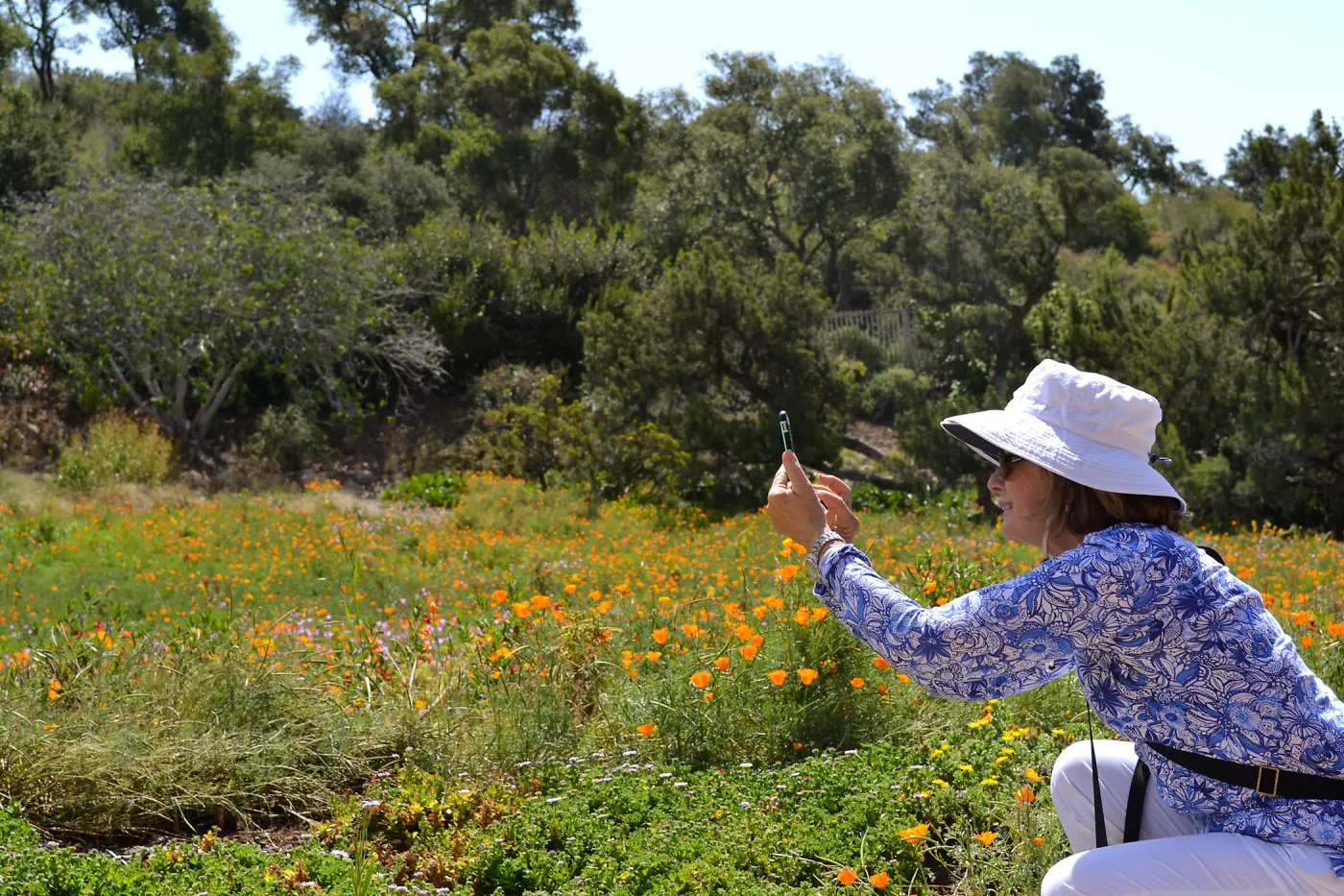 Seniors Free Day, phone photographer at Meadow