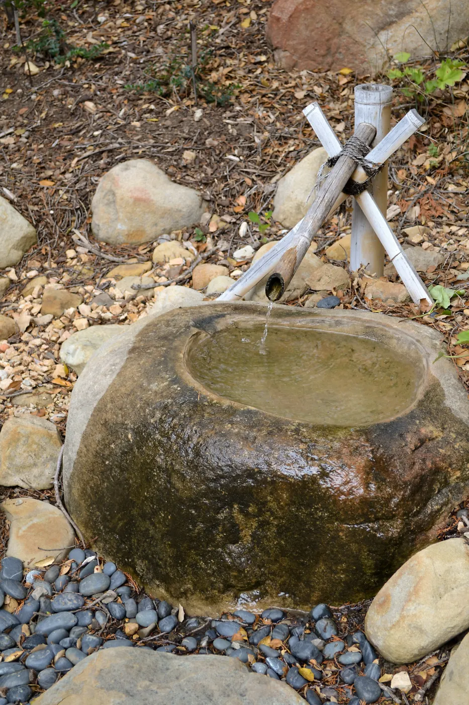 Tea Ceremony, Member Appreciation Event