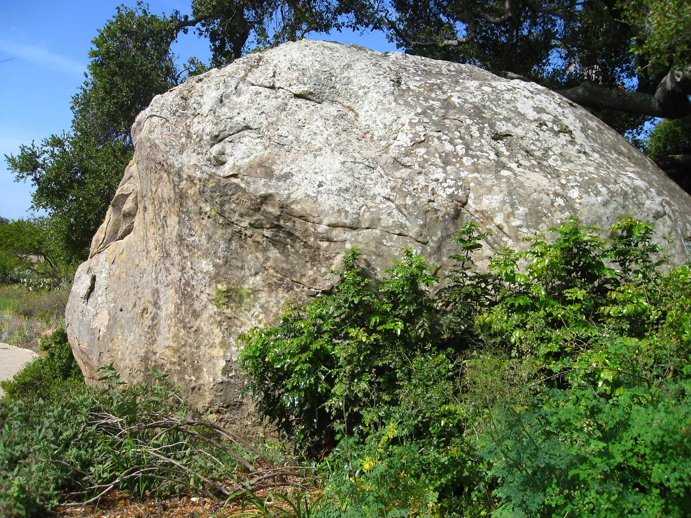 Blaksley Boulder, after removal of Douglas Fir