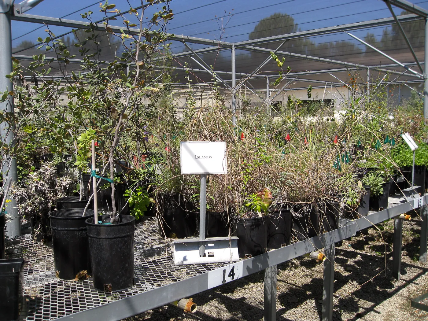 Rancho Santa Ana Botanic Garden