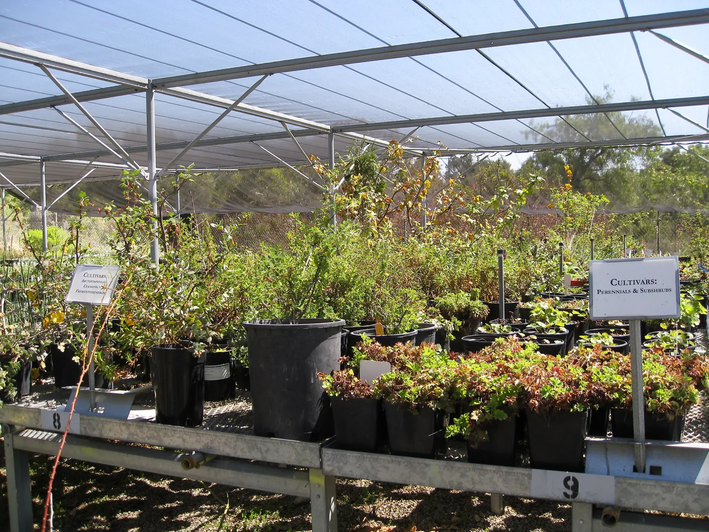 Rancho Santa Ana Botanic Garden
