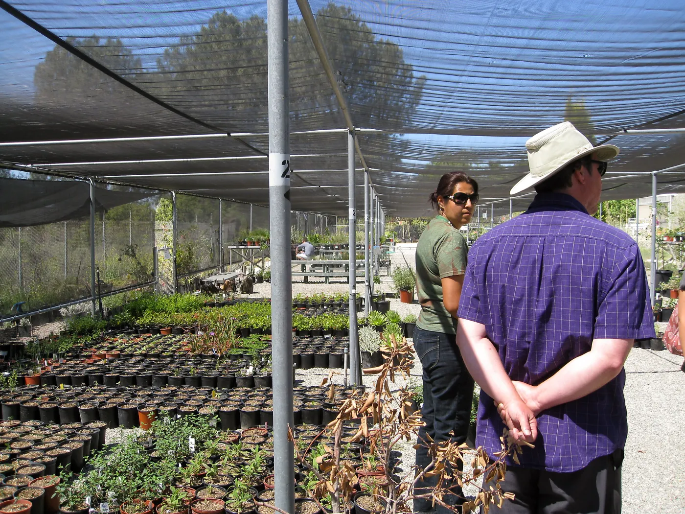 Rancho Santa Ana Botanic Garden