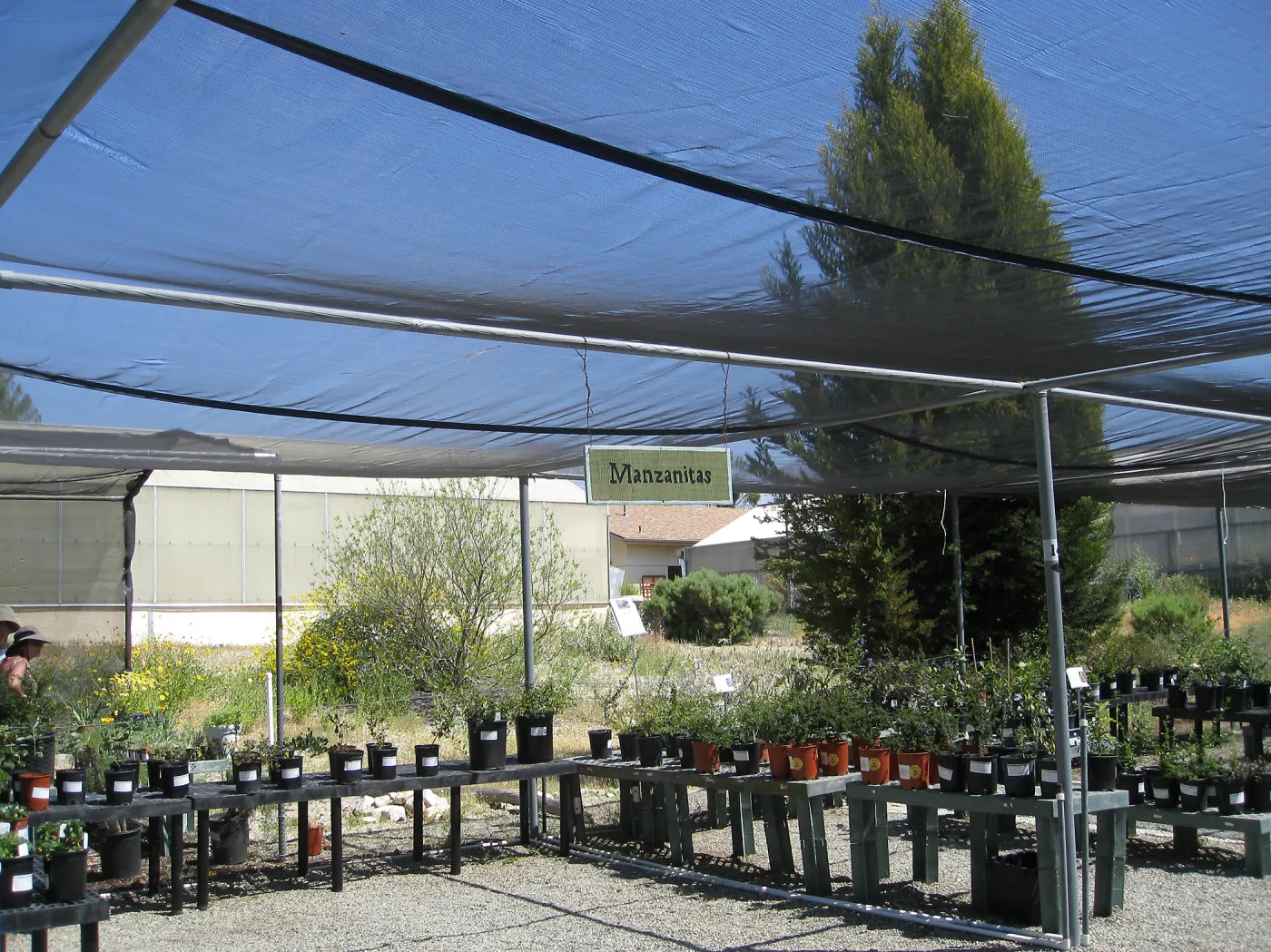 Rancho Santa Ana Botanic Garden