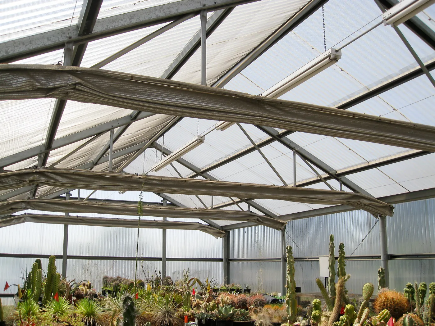 Rancho Santa Ana Botanic Garden Nursery