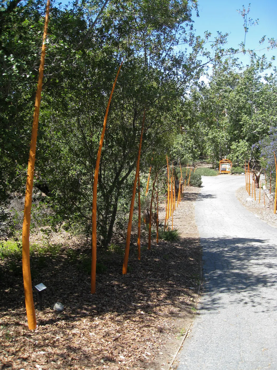 Rancho Santa Ana Botanic Garden
