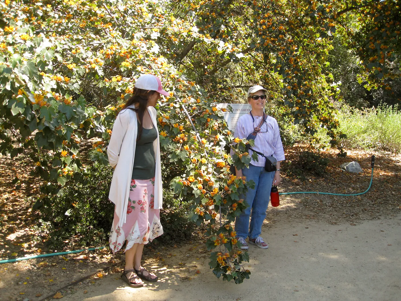 Rancho Santa Ana Botanic Garden