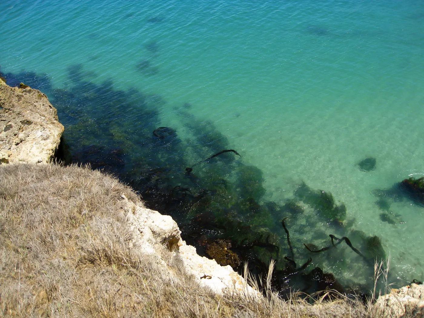 Santa Rosa Island
