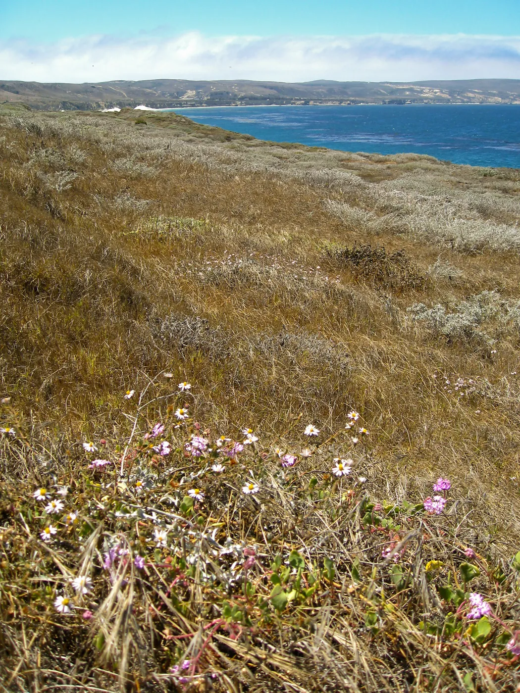 Santa Rosa Island
