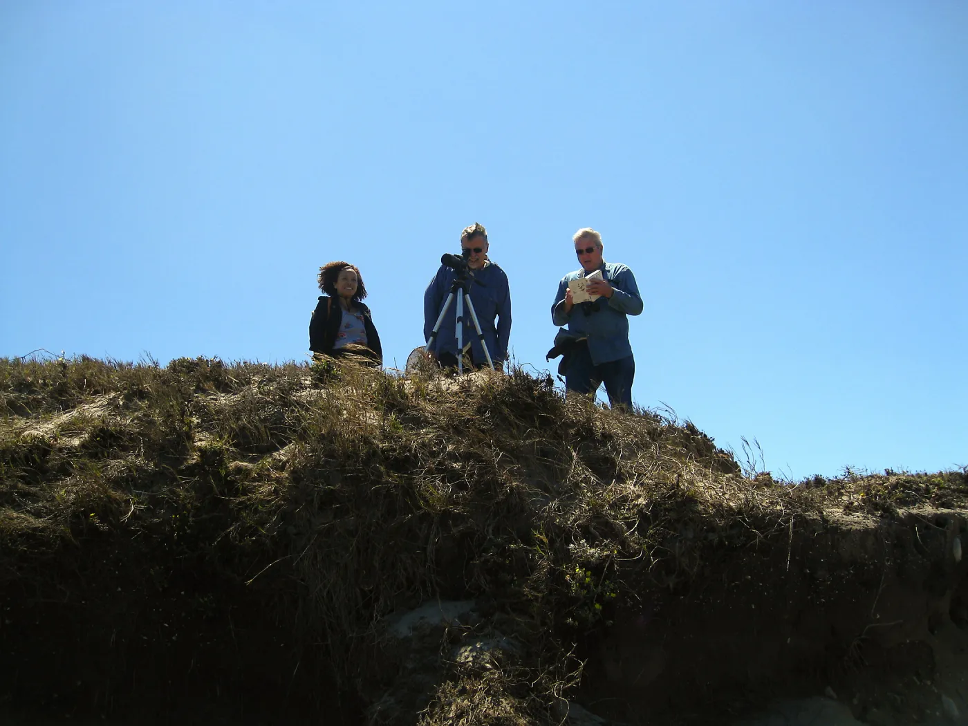 Santa Rosa Island, bird spotting