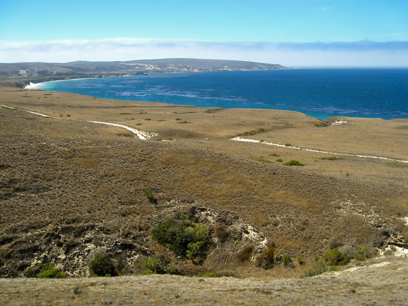 Santa Rosa Island from near Torrey Pine grove