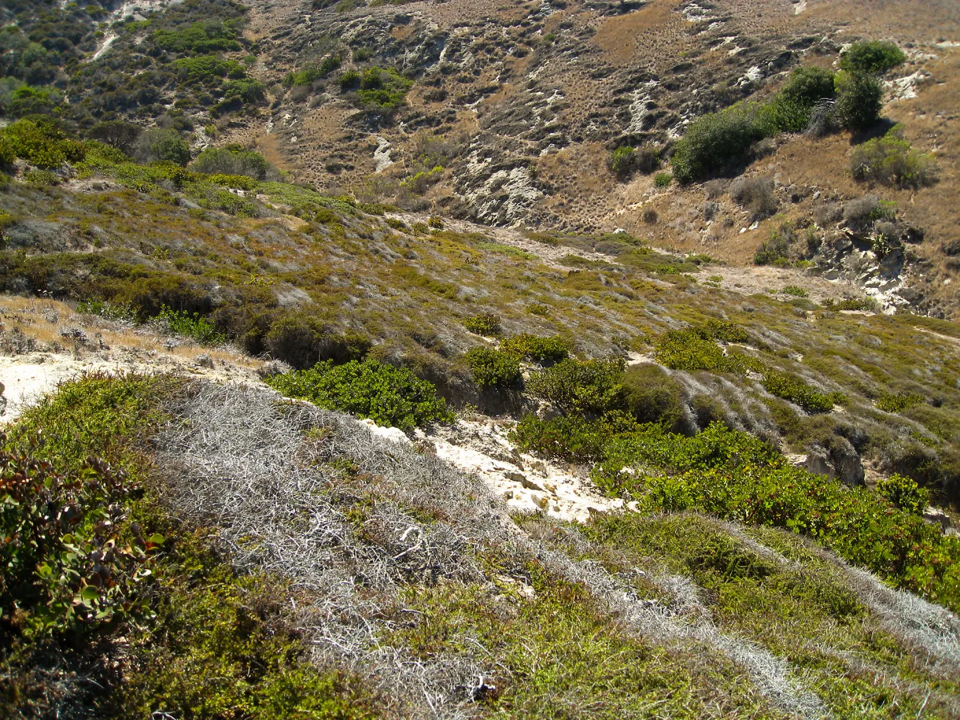 Santa Rosa Island