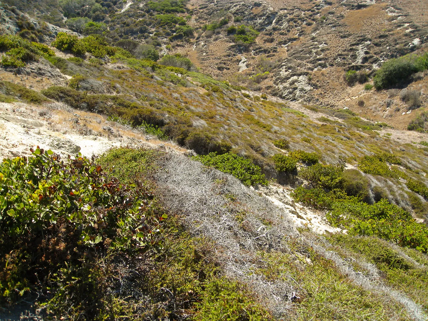 Santa Rosa Island