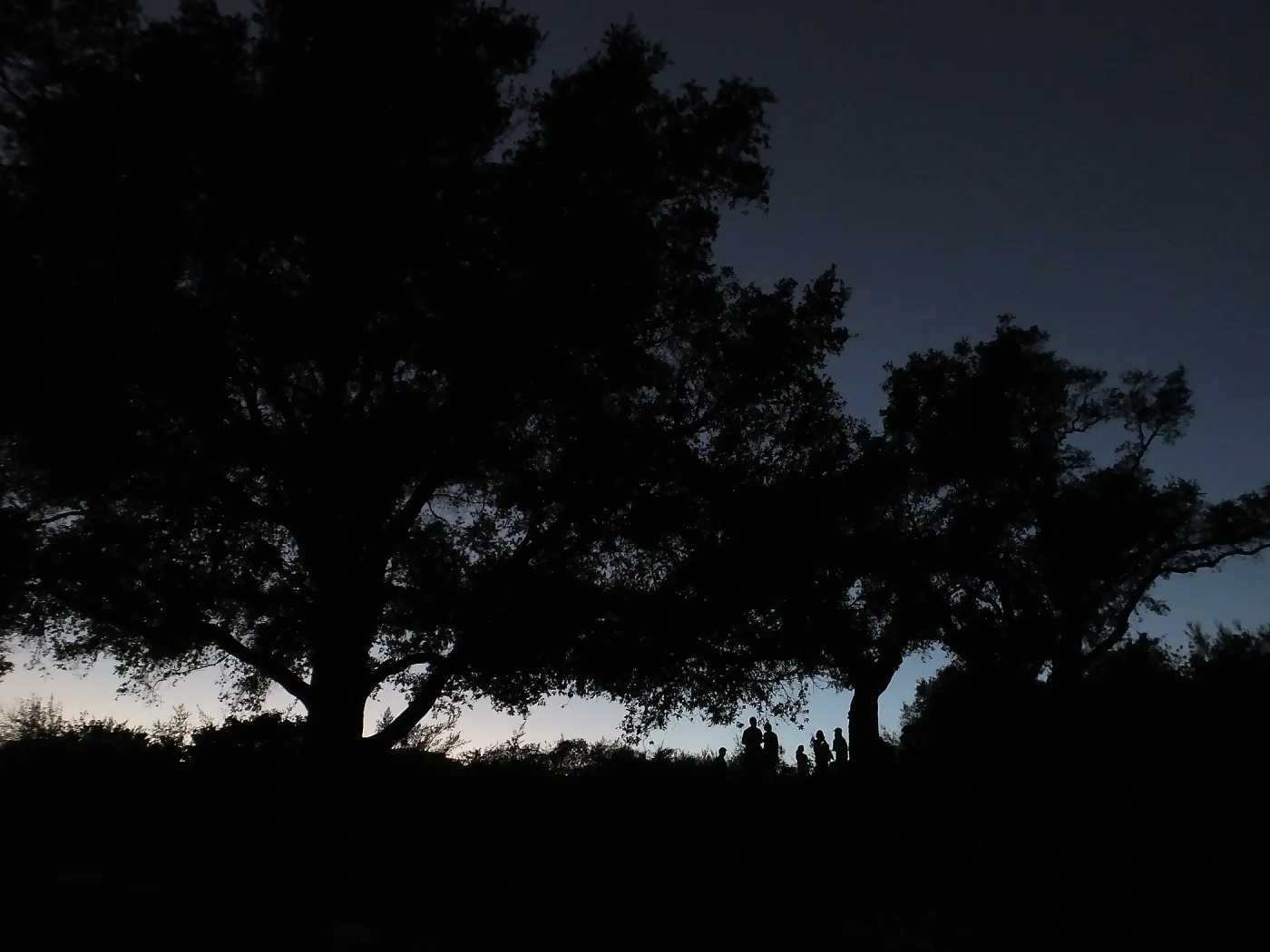 Member Appreciation Month, Blue Moon Hike