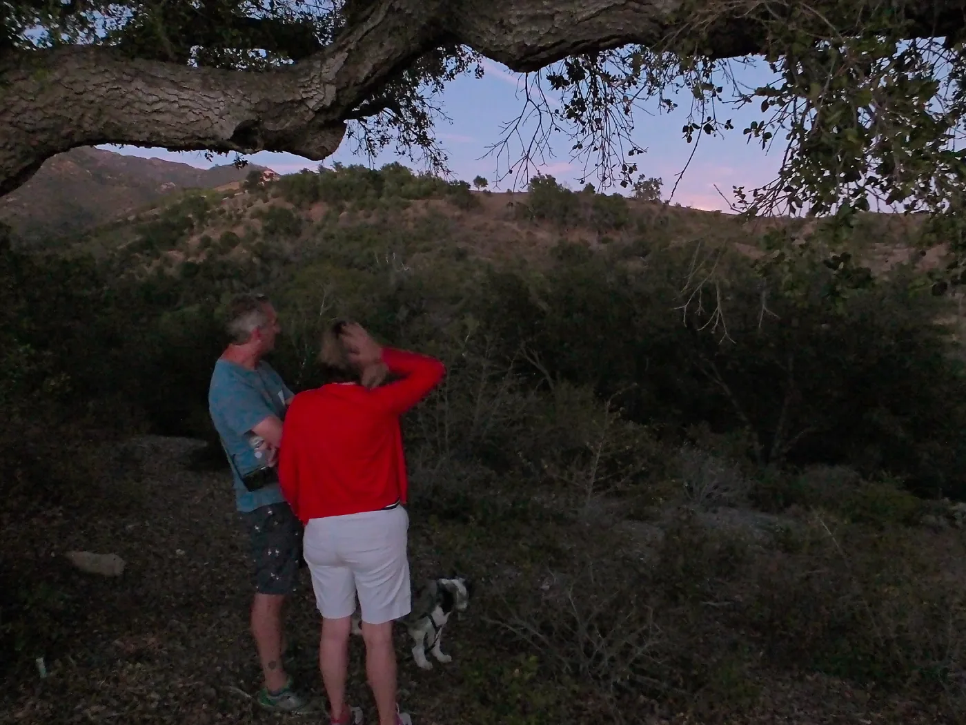 Member Appreciation Month, Blue Moon Hike