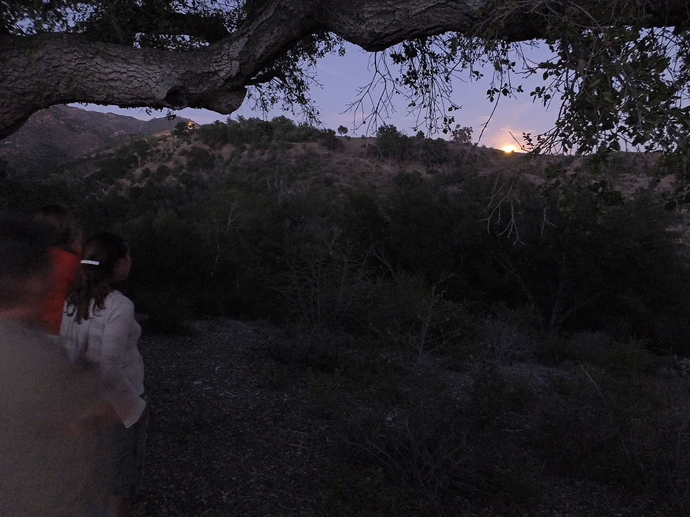 Member Appreciation Month, Blue Moon Hike