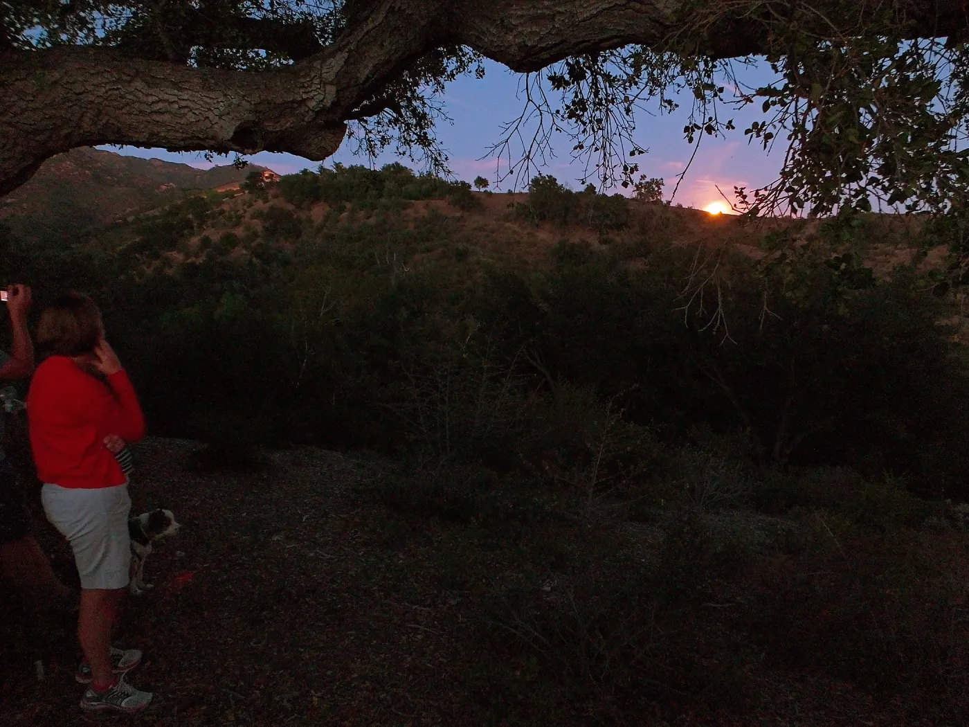 Member Appreciation Month, Blue Moon Hike