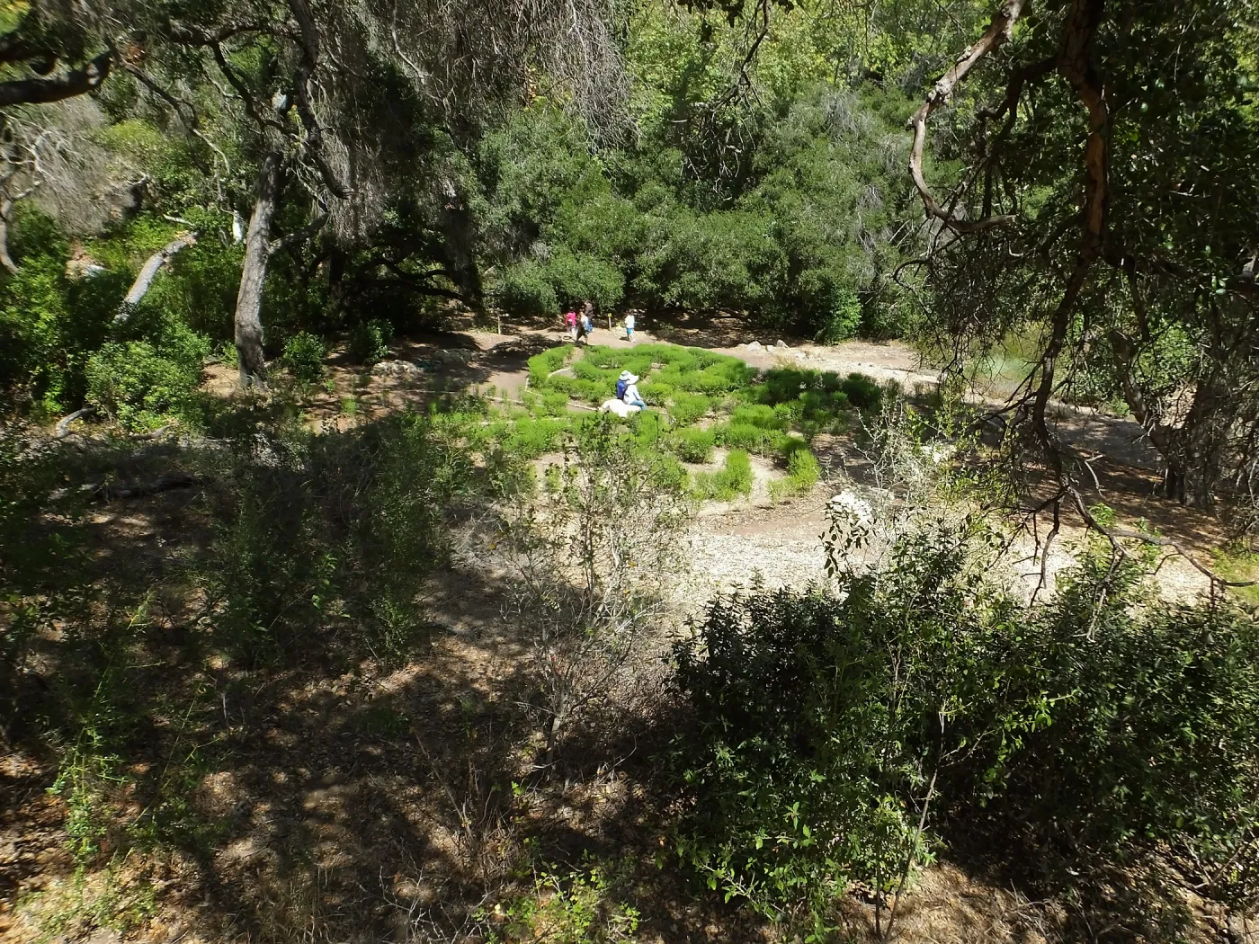 Centennial Maze