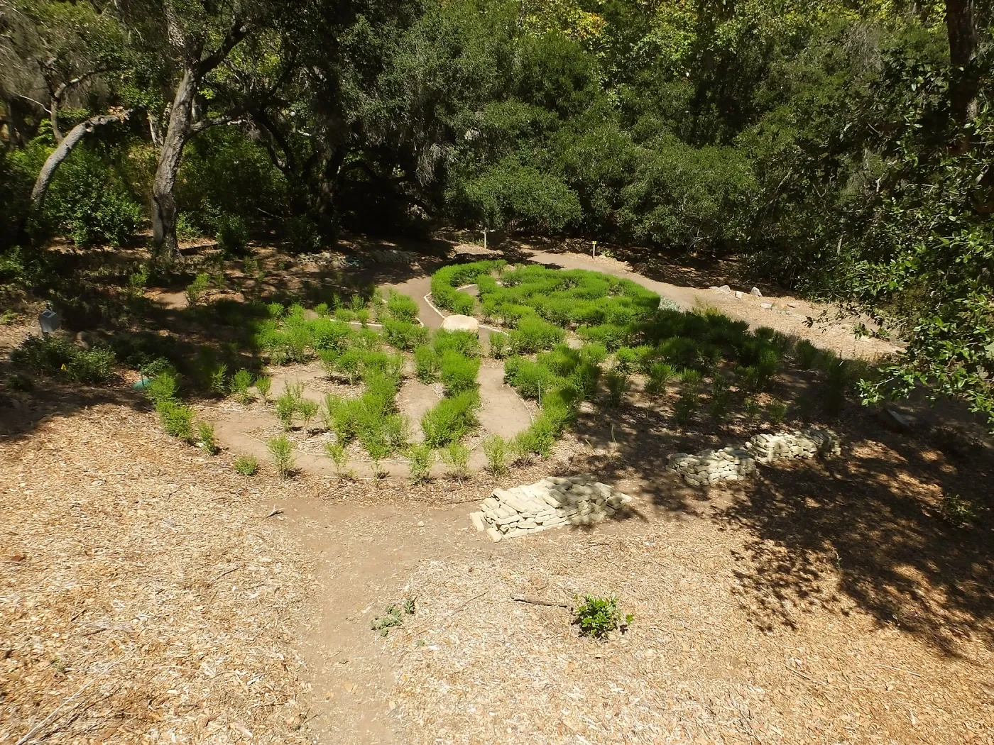 Centennial Maze