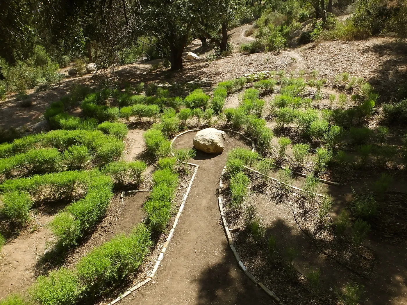 Centennial Maze
