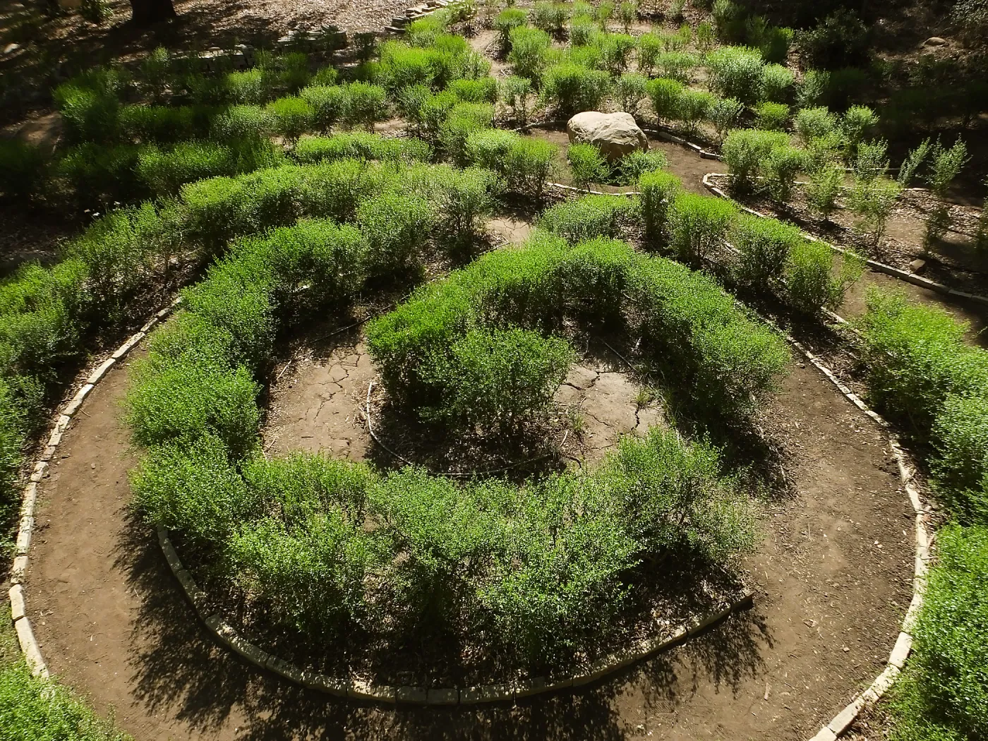 Centennial Maze