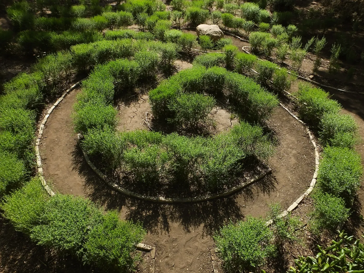 Centennial Maze