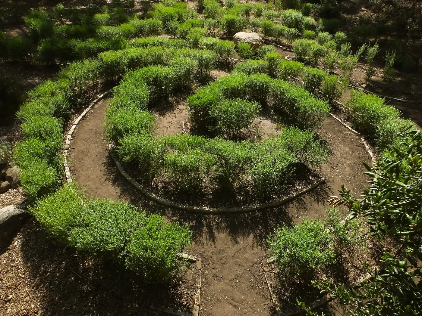Centennial Maze